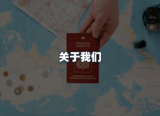 专业团队